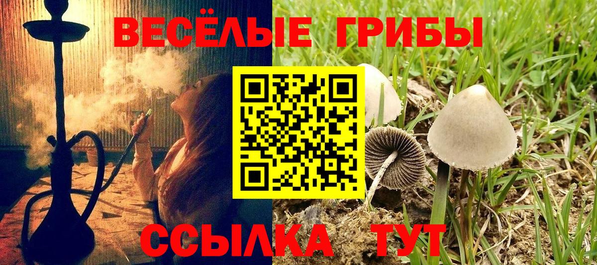 Псилоцибиновые грибы прущие грибы  Псилоцибиновые грибы GOLDEN TEACHER  Вход с VPN  Дубна 